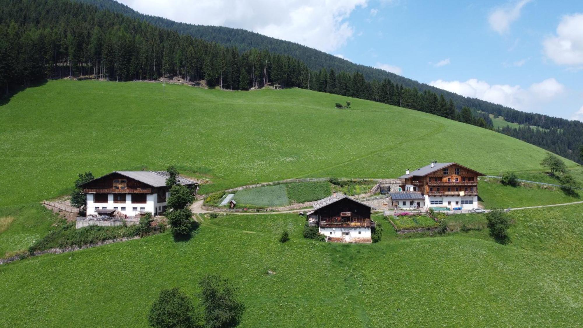 Ortlerhof Im Ultental - Urlaub Auf Dem Bauernhof エクステリア 写真