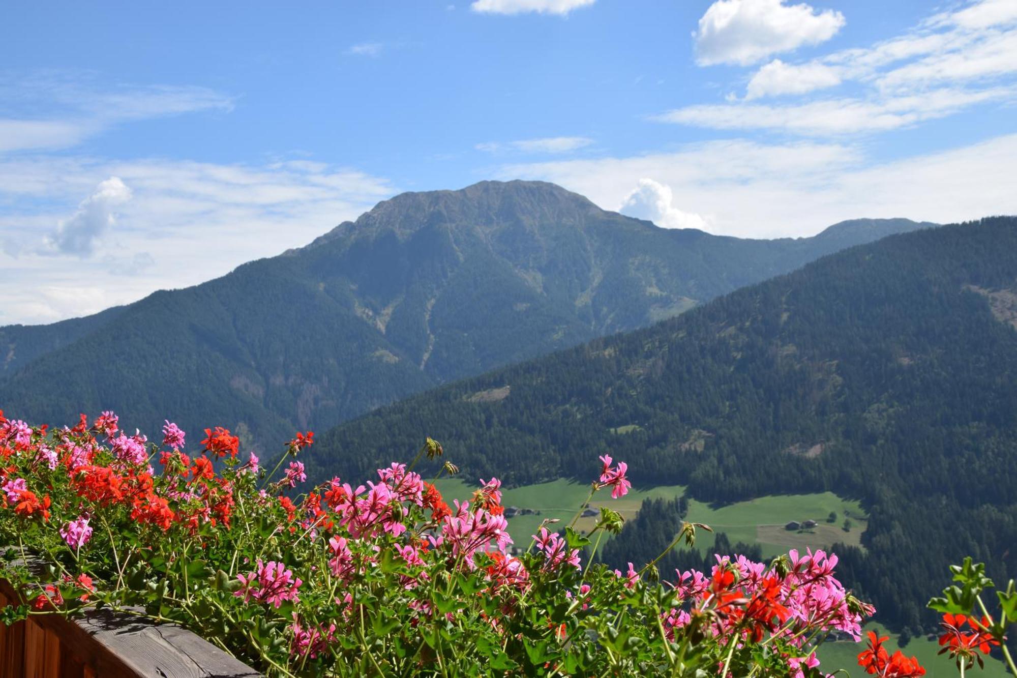 Ortlerhof Im Ultental - Urlaub Auf Dem Bauernhof エクステリア 写真